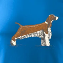 Vintage Springer spaniel