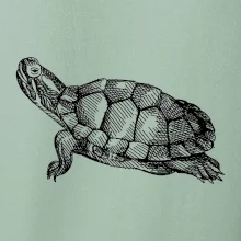 Ceruzkou kreslená korytnačka