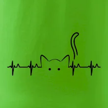 Mačka EKG