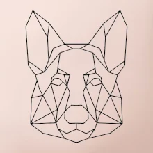 Nemecký ovčiak - Geometria