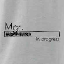 In progress titul Mgr. magister / magistra