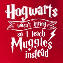 Harry - Hogwarts wasn’t hiring, so I teach Muggles instead