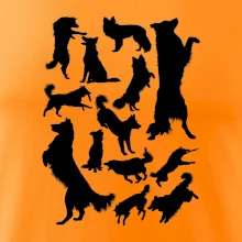 Border kólia siluety