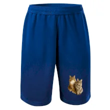 Mačky vectorizované (Moňas)