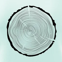 Letokruhy 50 bez veku