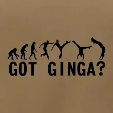 Capoeira - Got Ginga