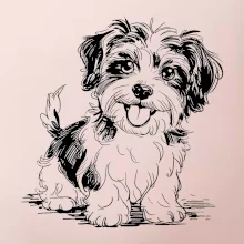 Havanský psík skica