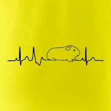 EKG morča EKG morča