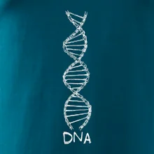 Cyklistovo DNA