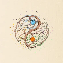 Yin & Yang strom - zima, leto