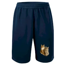 Mačky vectorizované (Moňas)