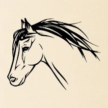 Kôň - hlava celá Kôň - hlava celá