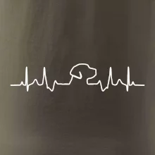 Labradorský retriever‎ EKG