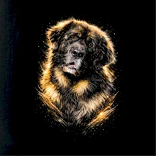 Obrázok poltón Tibetský mastif