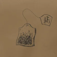 Čaj - čajový nápoj