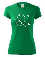 Súhvezdie - Leo - Lev