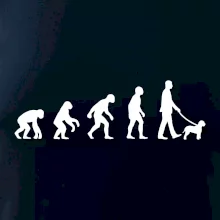 Lagotto romagnolo Evolúcia