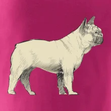Vintage French bulldog