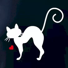 Zamilovaná mačka prehnutá