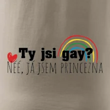 Gay princezna Gay princezna