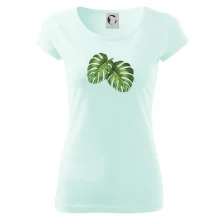 Monstera - dva listy