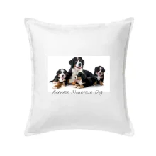 Bernese mountain dog celá rodina