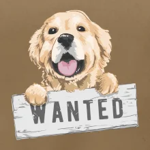 Zlatý retriever - šteniatko wanted