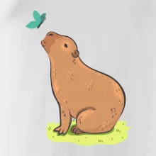 Kapybara a motýlik Kapybara a motýlik