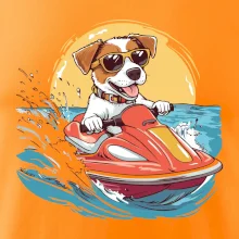 Jack russell teriér na vodnom skútri