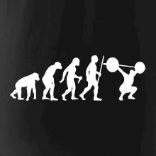 Evolution fitness
