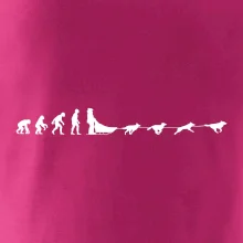 Evolúcia psie záprahy