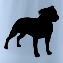 Americký stafordšírsky teriér Na prsníku