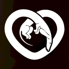 Jazvečík srdca - plný