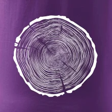 Letokruhy 85 bez veku