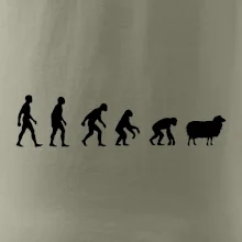 Evolúcia ovce