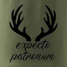 Harry - Expecto patronum Harry - Expecto patronum