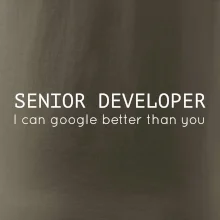 Senior developer google better than you