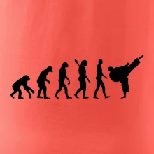 Karate Evolúcia - kop