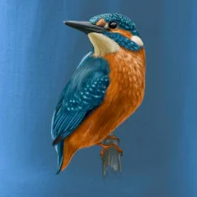 Ľadnáčik kreslený Ľadnáčik kreslený