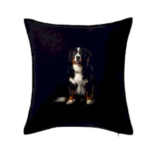 Bernský salašnícky pes sediaci čierna fotka