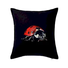 Lienka za spredu čierna fotka