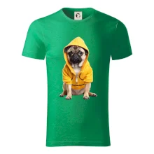 Mops v mikine Mops v mikine