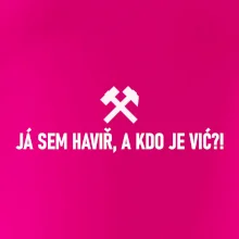 JÁ SEM HAVIŘ, A KDO JE VIĆ?!﻿