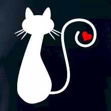 Zamilovaná mačka chvostík Zamilovaná mačka chvostík