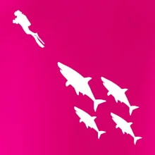 Potápač žraloky Potápač žraloky