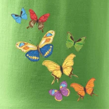 Farebné motýle