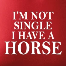 I have a horse