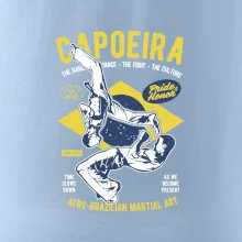 Capoeira  Afro-brazil art