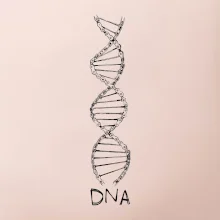 Cyklistovo DNA