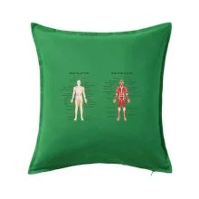 Skelet and Moscular system